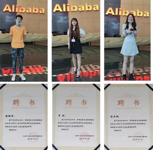 单招文科电子商务专业